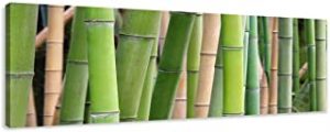 Cuadro de bambú